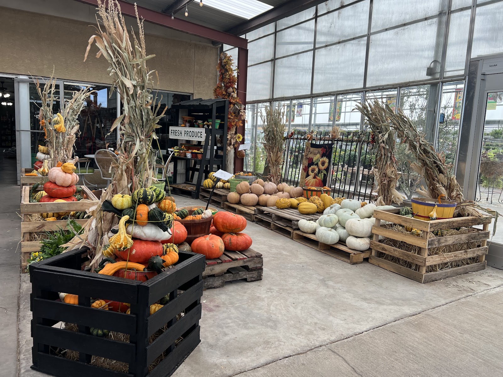 La Casa Verde Nursery