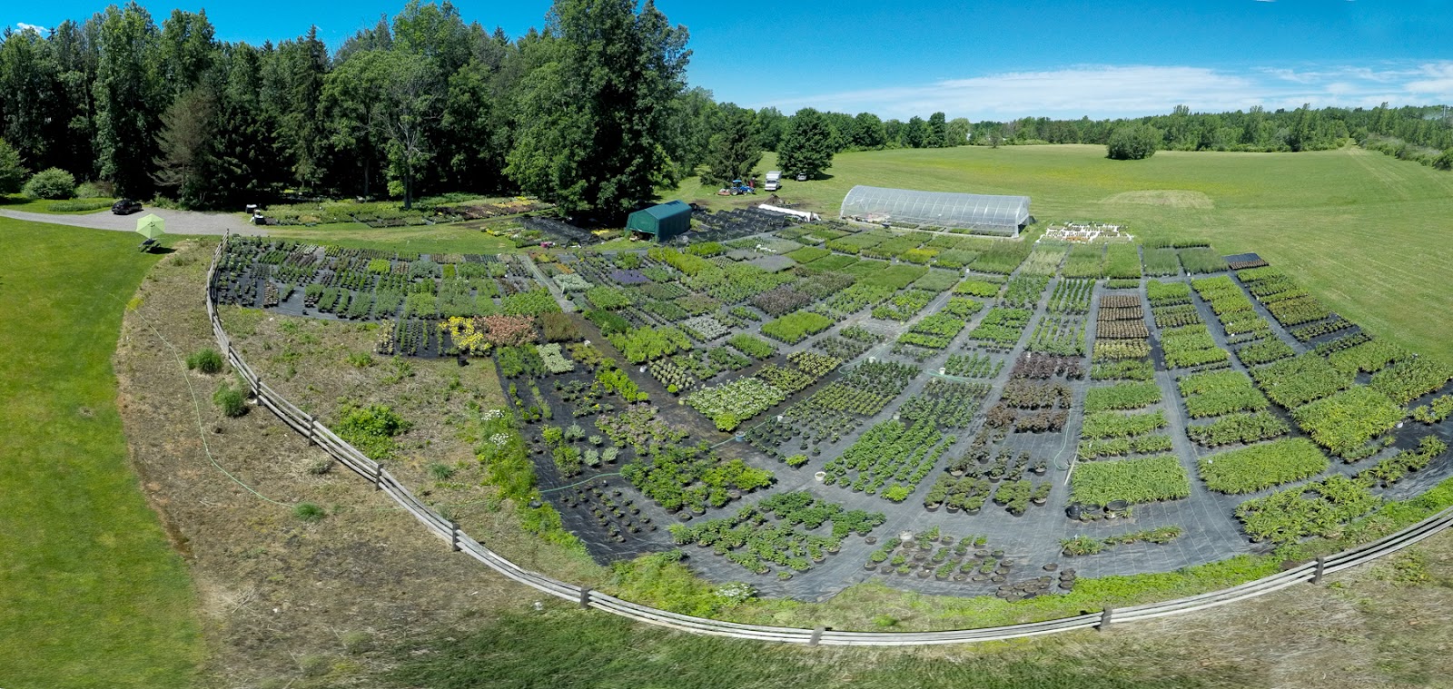 Lan's Flower Farm