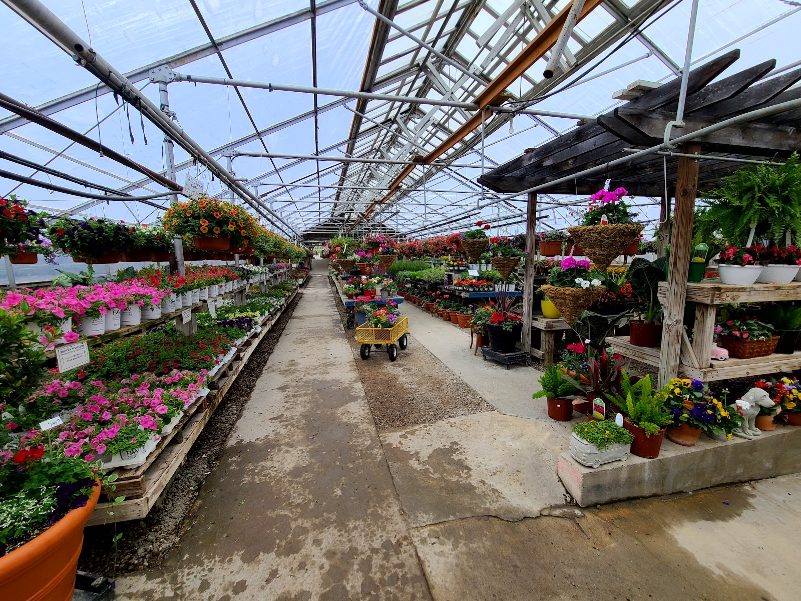 Lancaster Greenhouse & Nursery