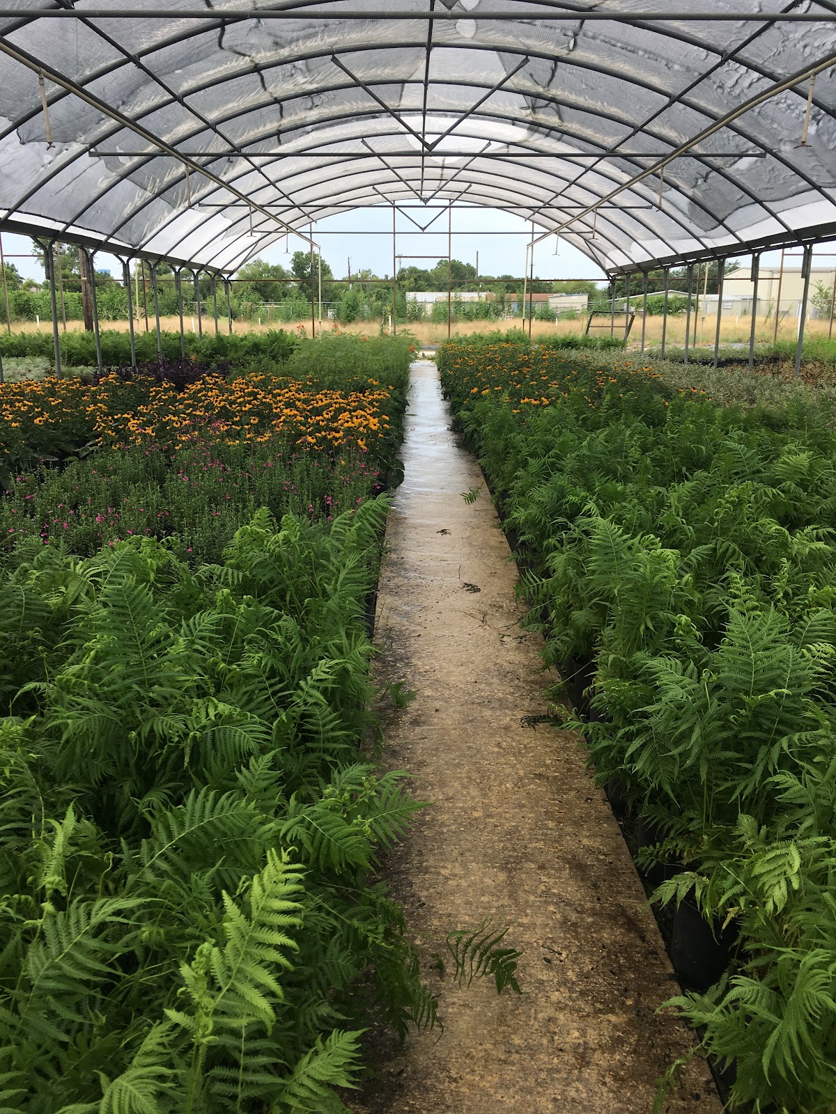 Landmark Nurseries, Inc.