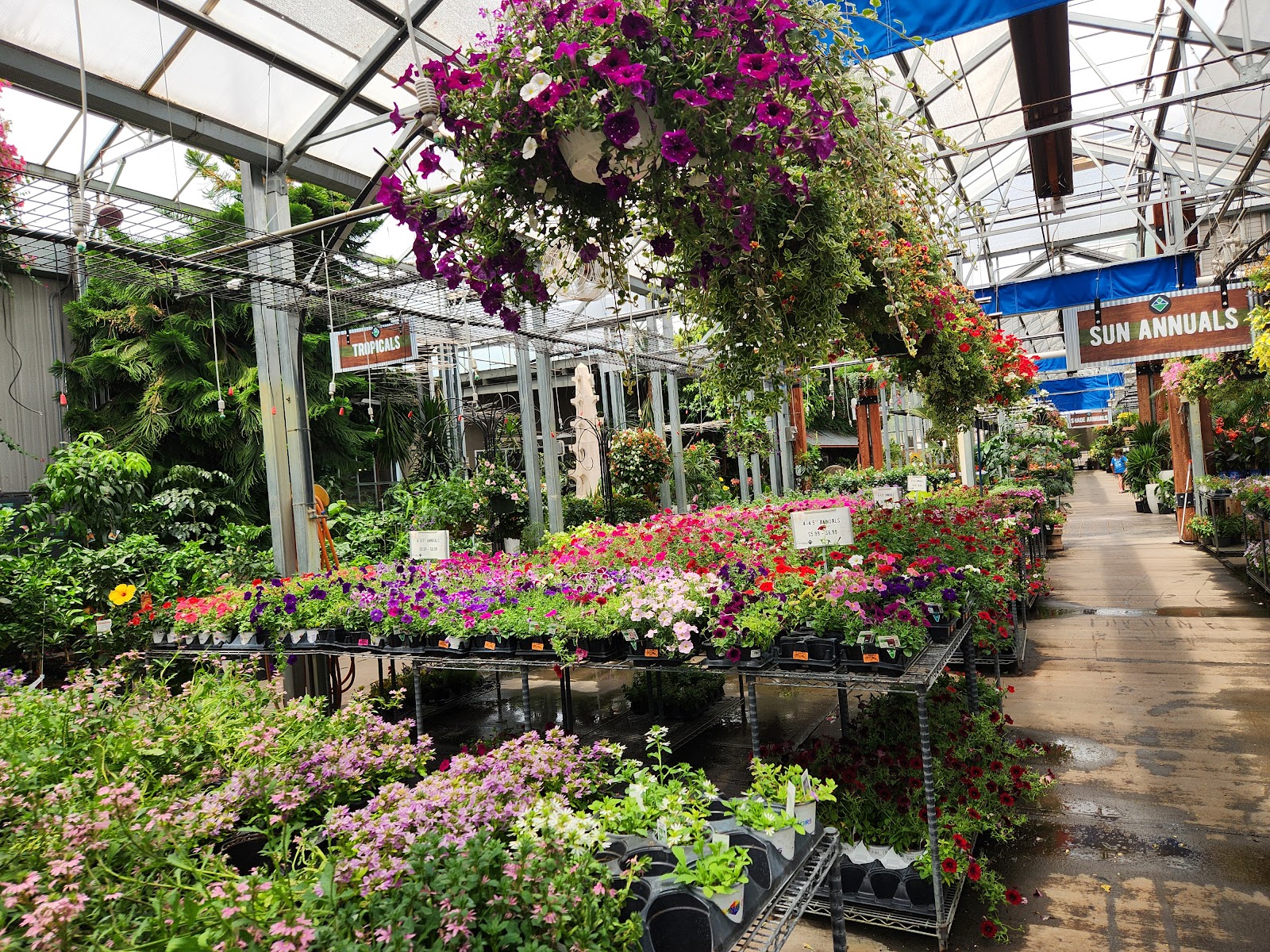 Lanoha Nurseries