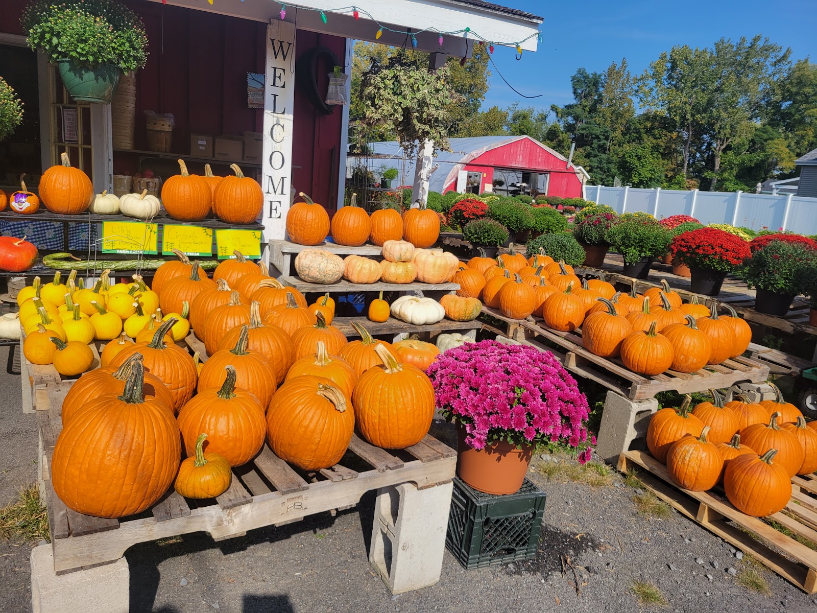 Lansing's Farm Market & Greenhouses