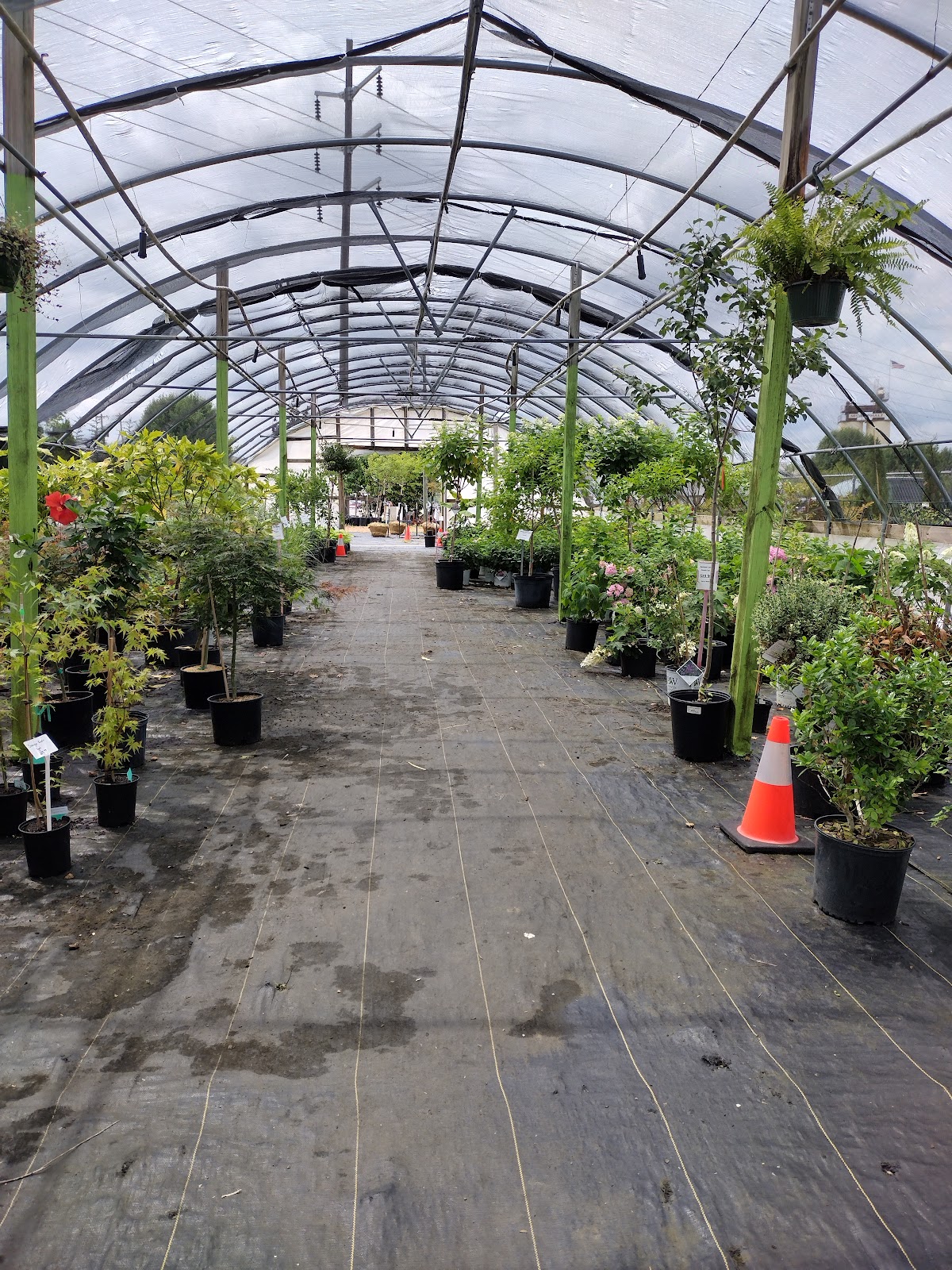 Larry's Nursery & Landscaping