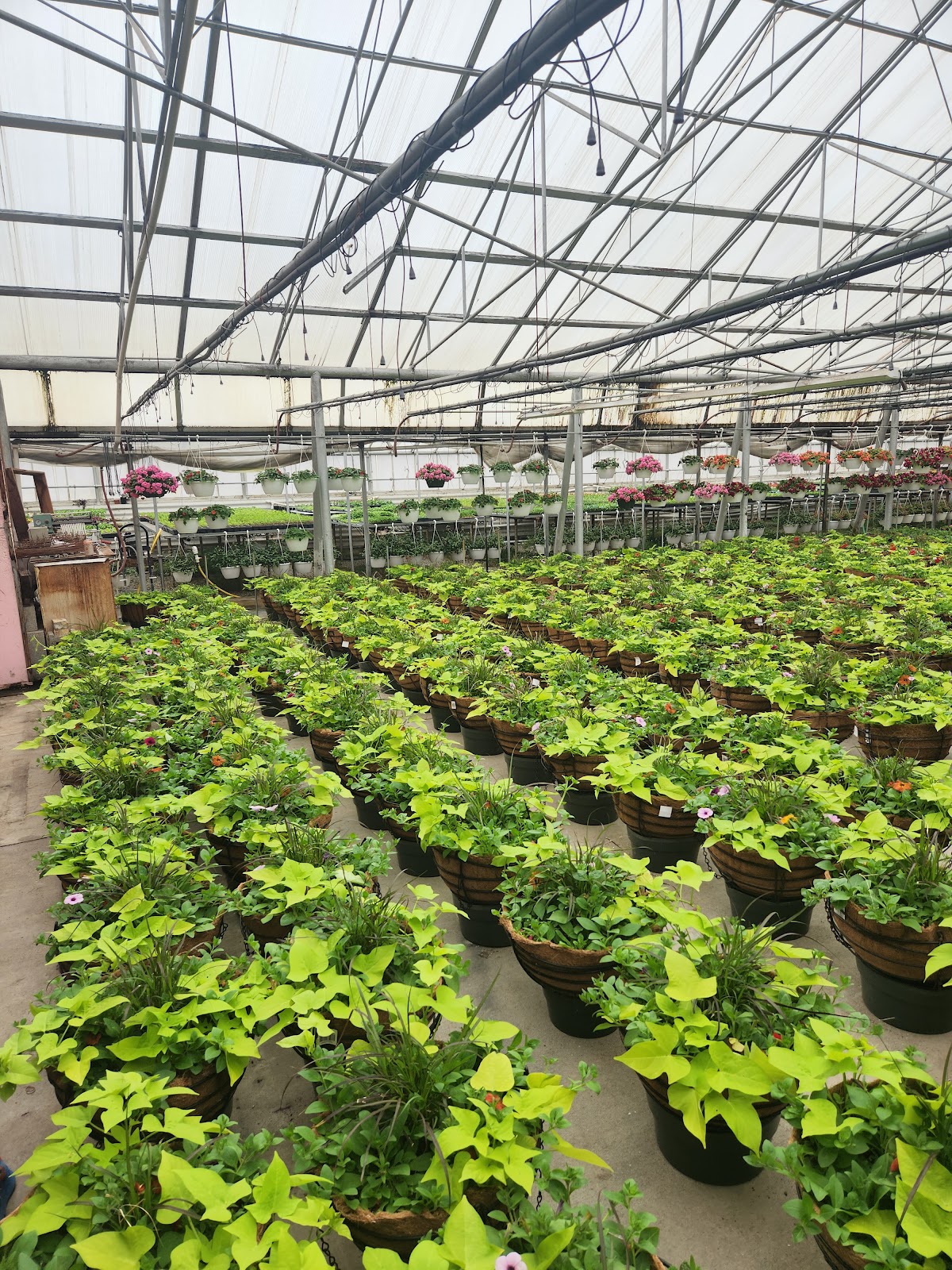 Larsen Florists & Greenhouses