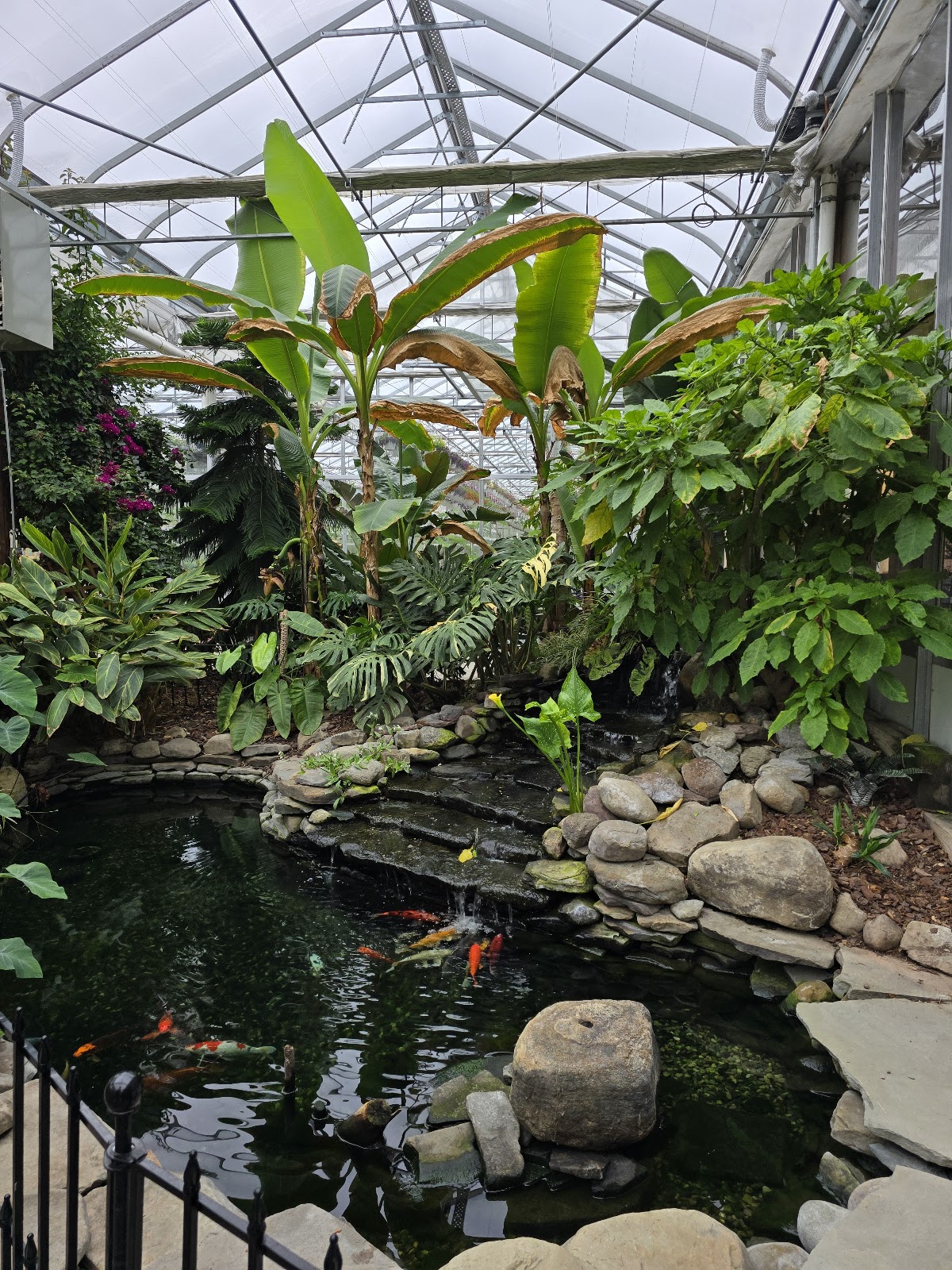 Lavocat's Family Greenhouse and Nursery