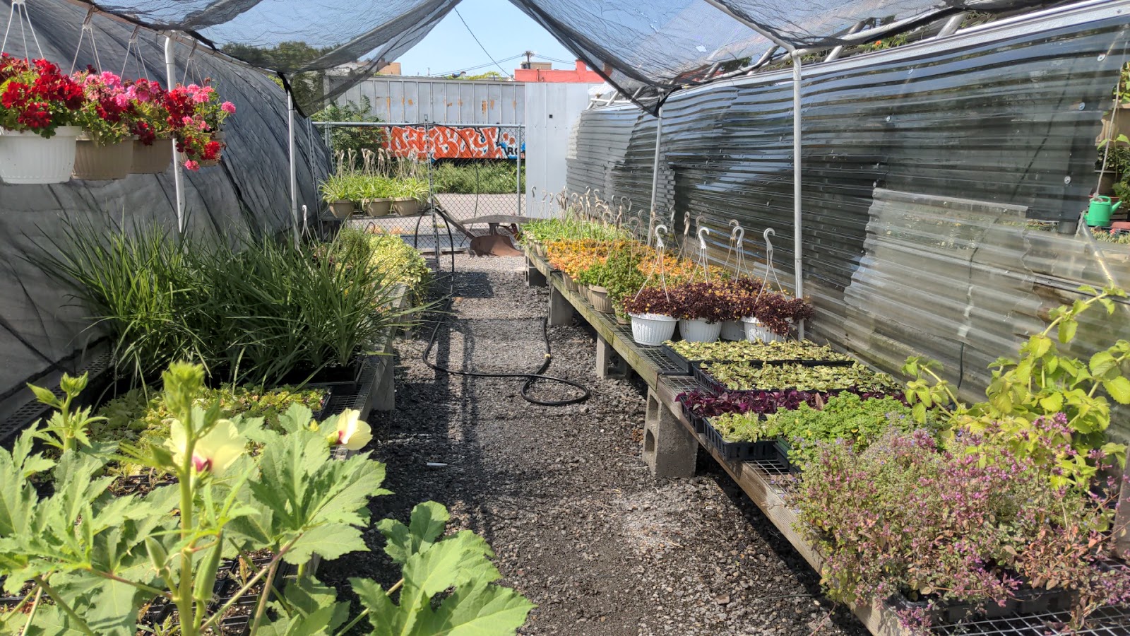 Lavocat's Garden Center