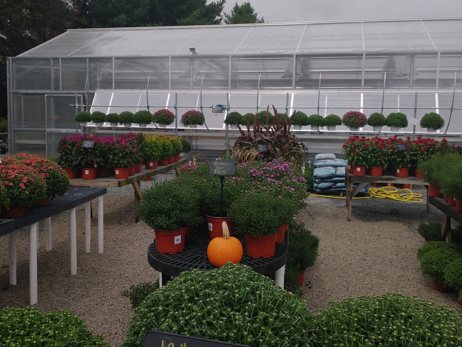 Lawrence Family Greenhouses
