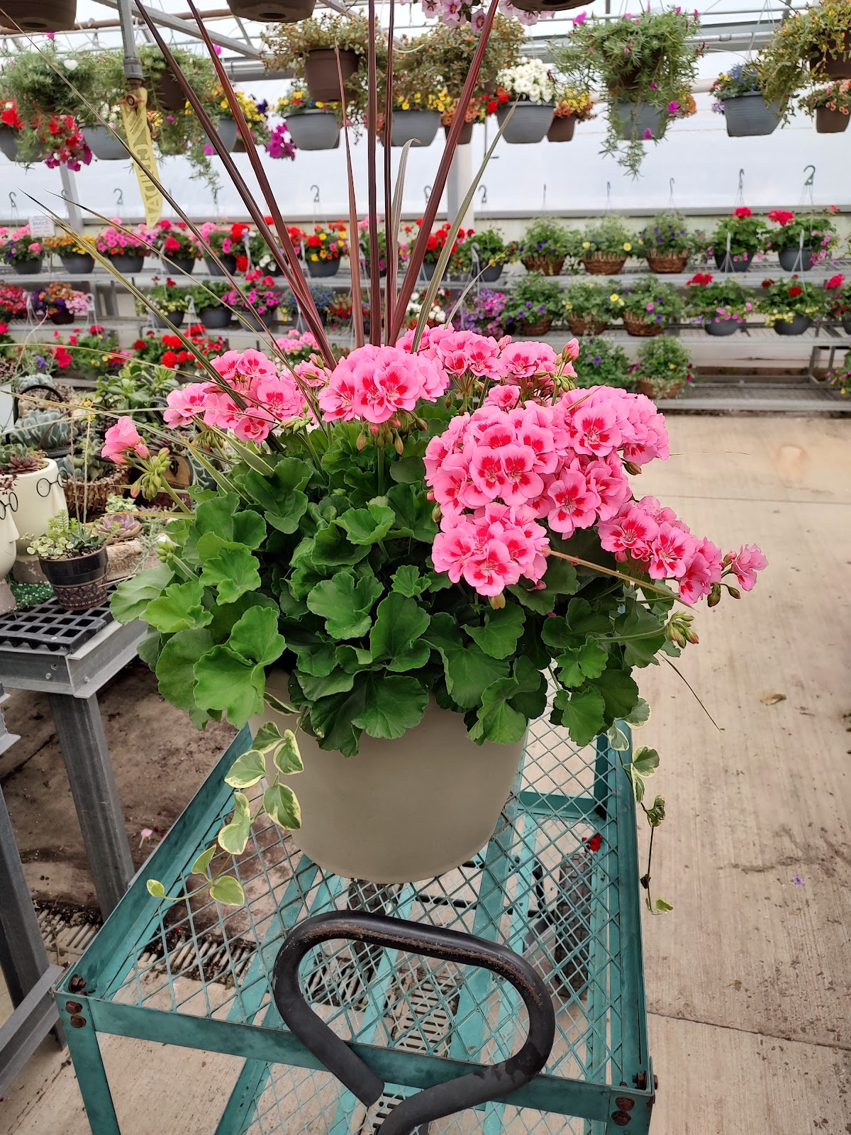 Lehigh's Greenhouse & Farm