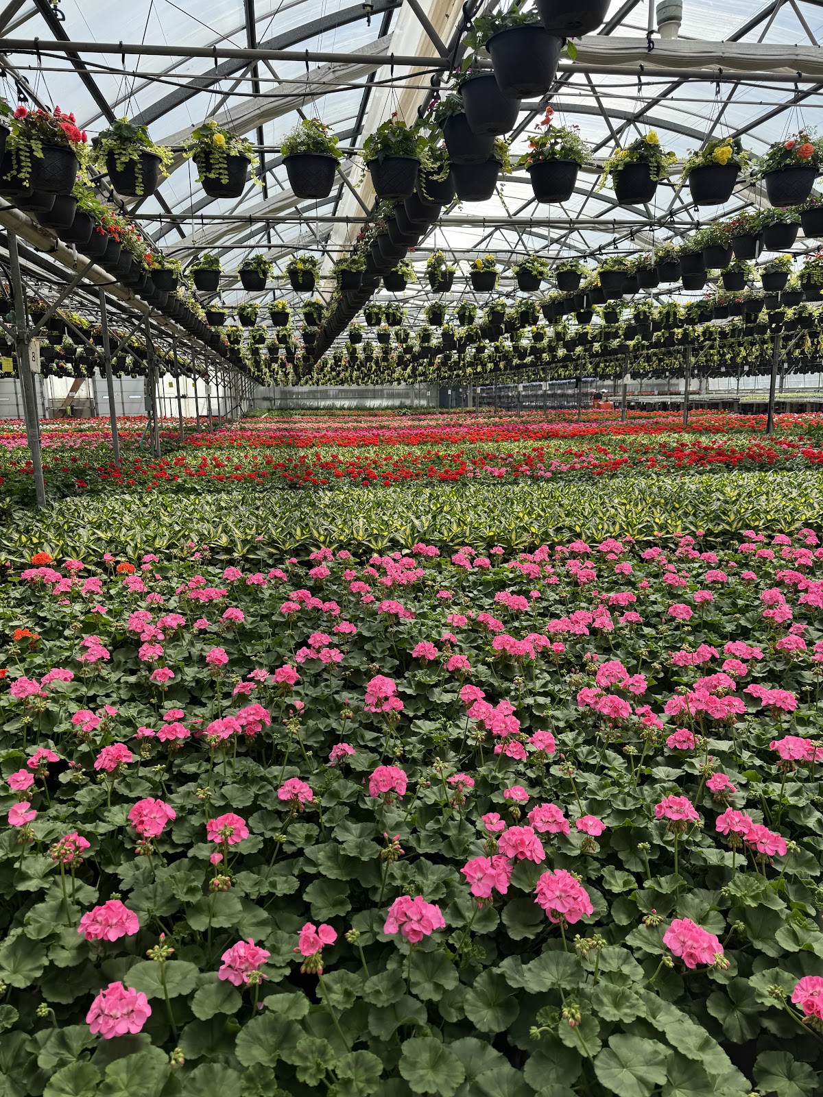 Leider Greenhouses & Garden Center