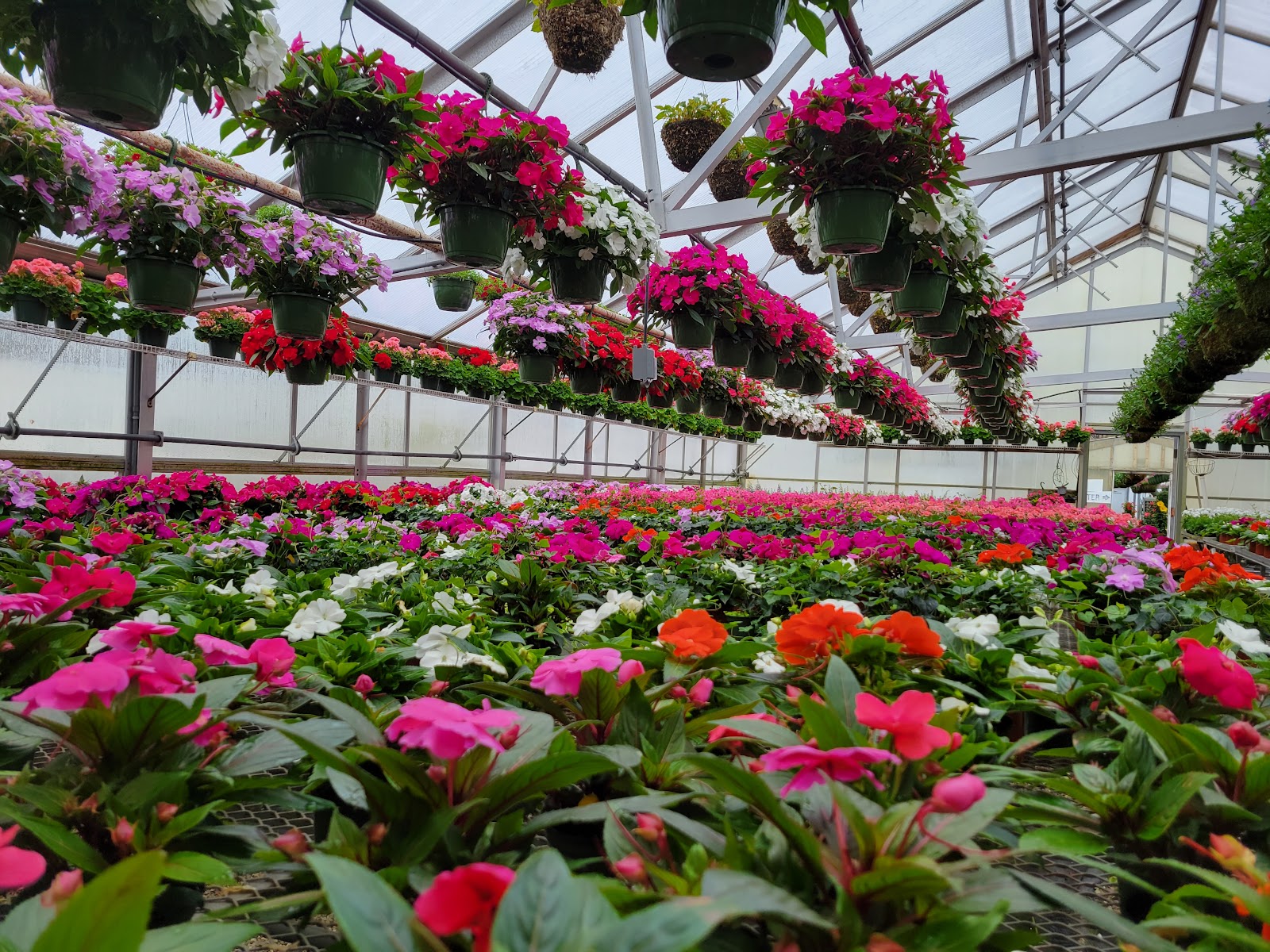 Leonhard's Florist & Greenhouses