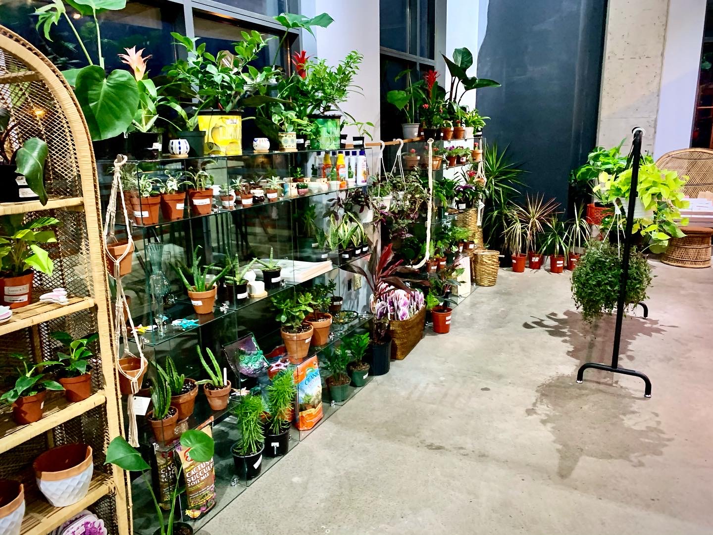 Lepley & Co. - Northside Marketplace