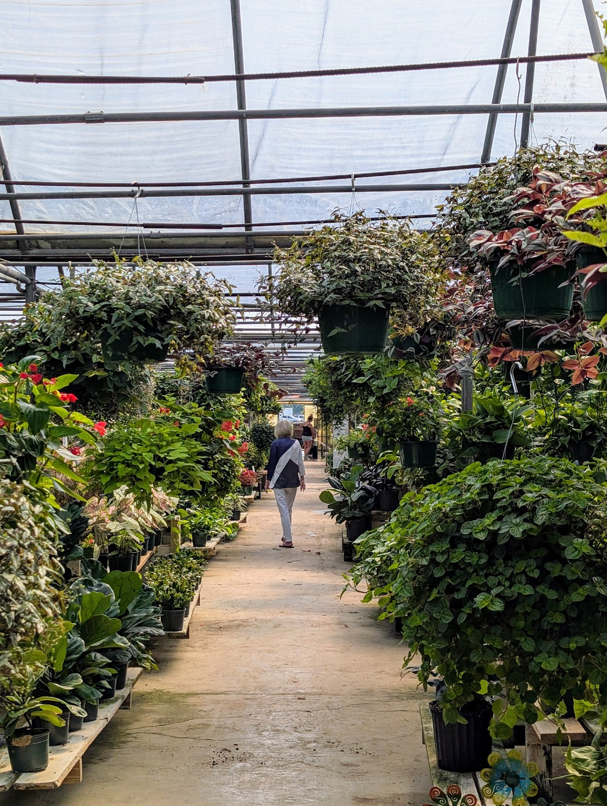 Lexington Country Greenhouses