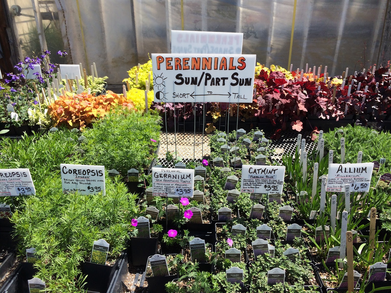 Lindsley's Greenhouse