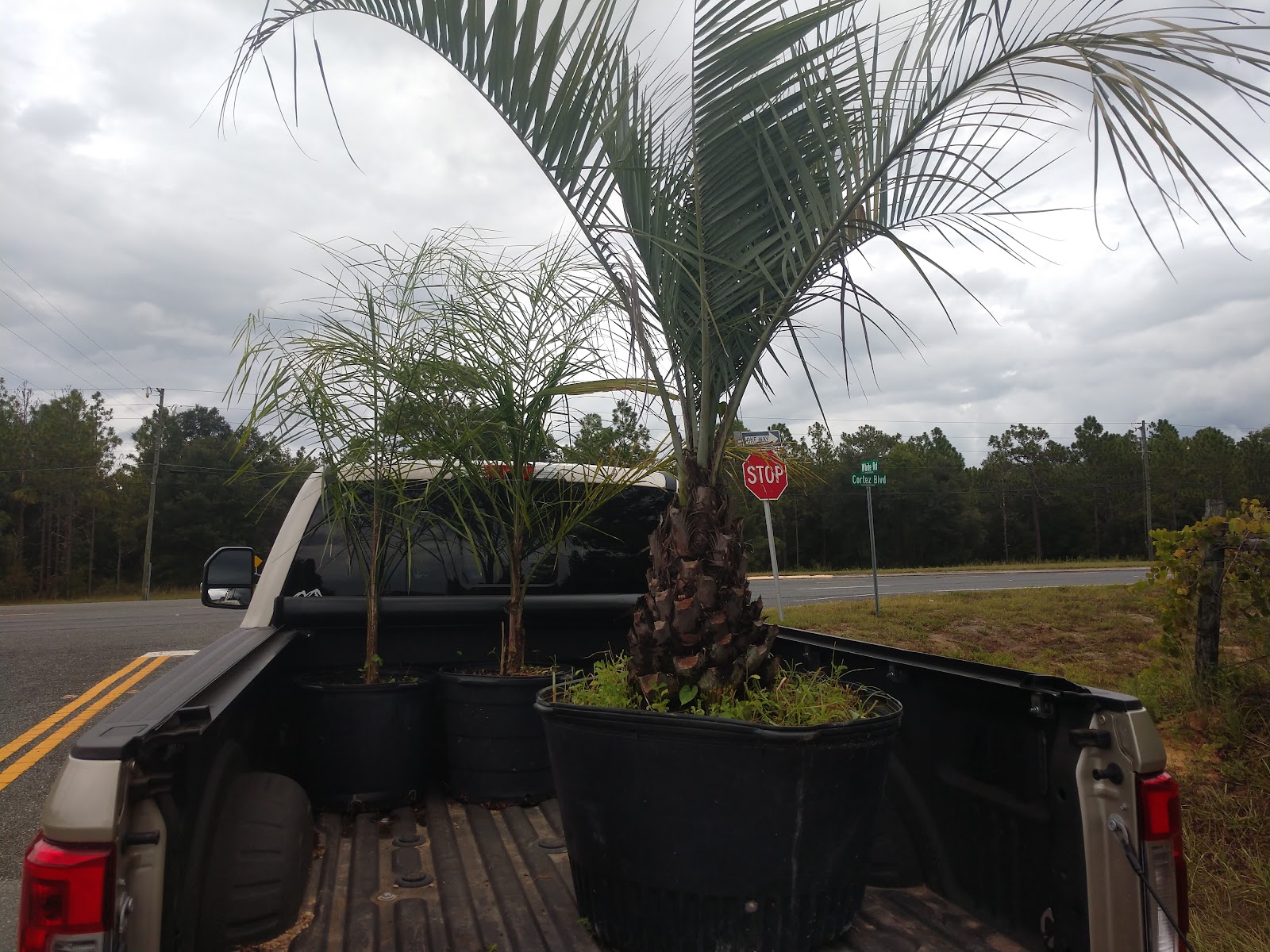 Lintra Farm and Plant Nursery