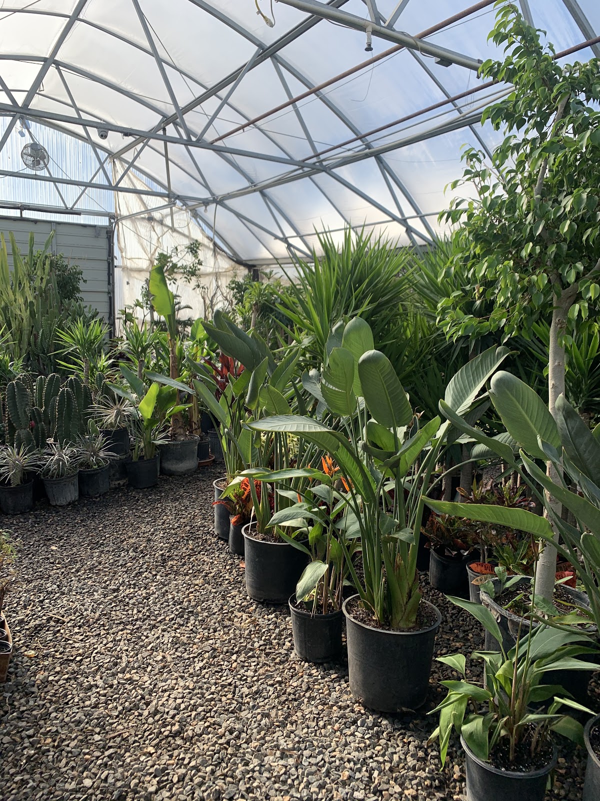 Little Eden Plantscaping