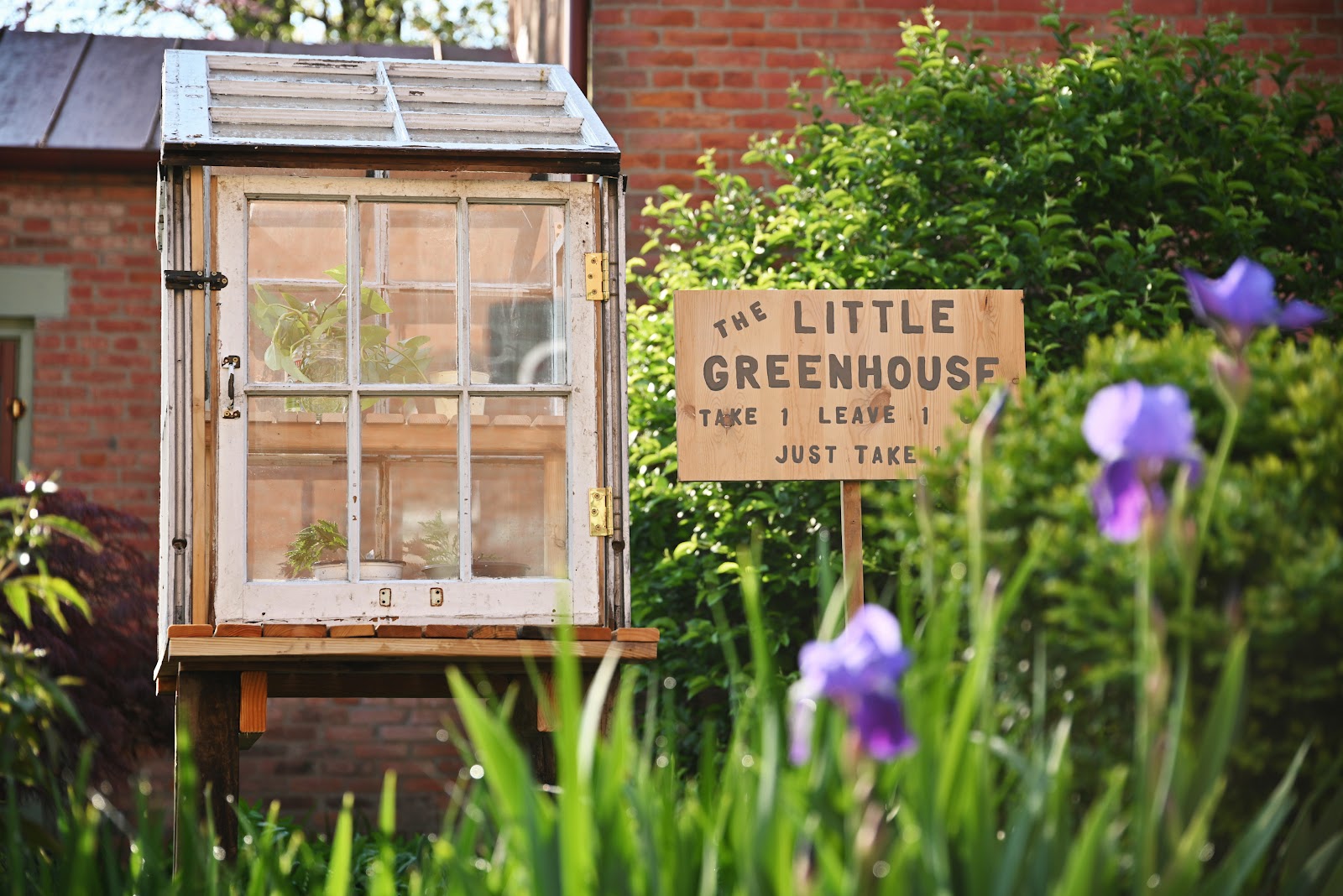 Little Free Greenhouse