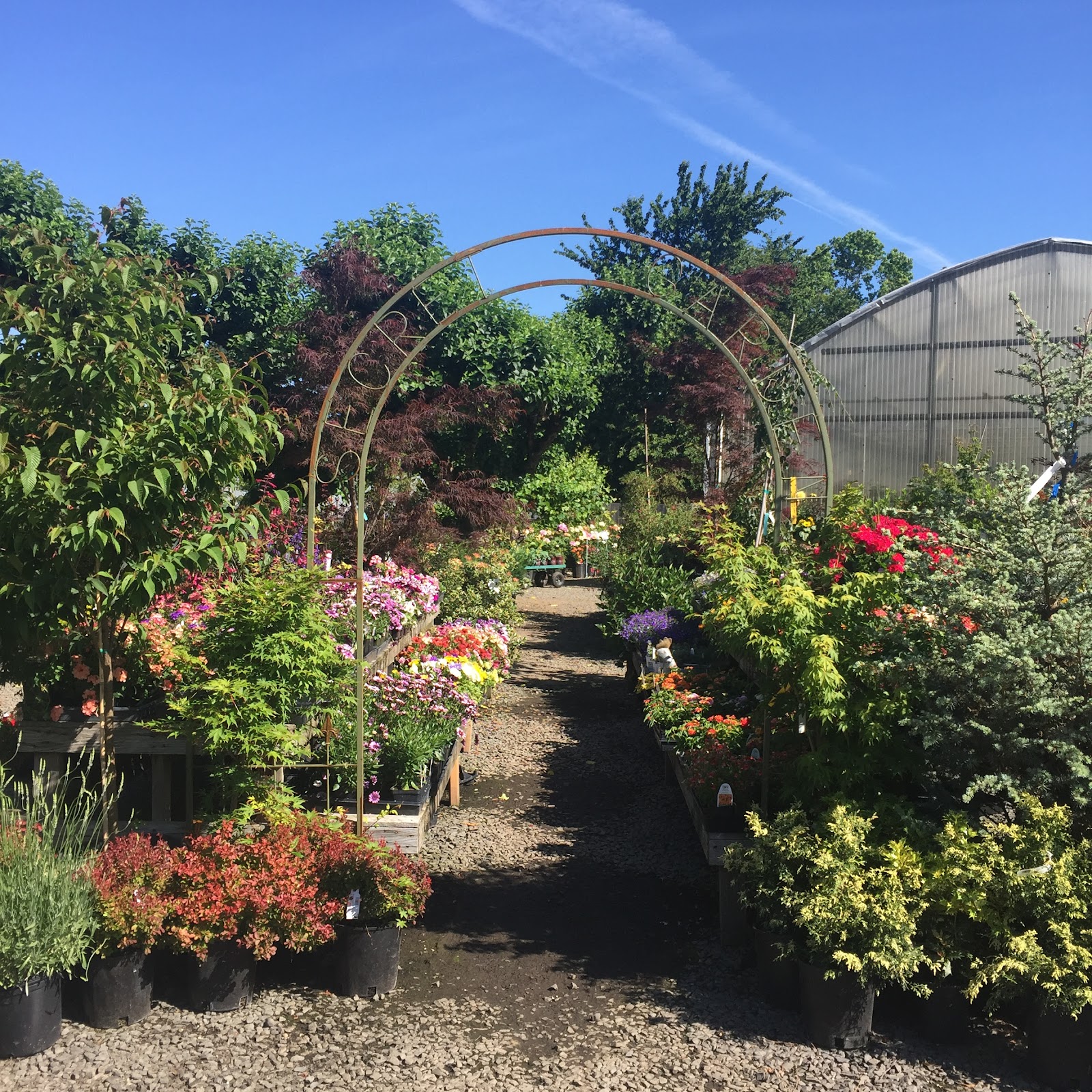 Little Red Farm Nursery