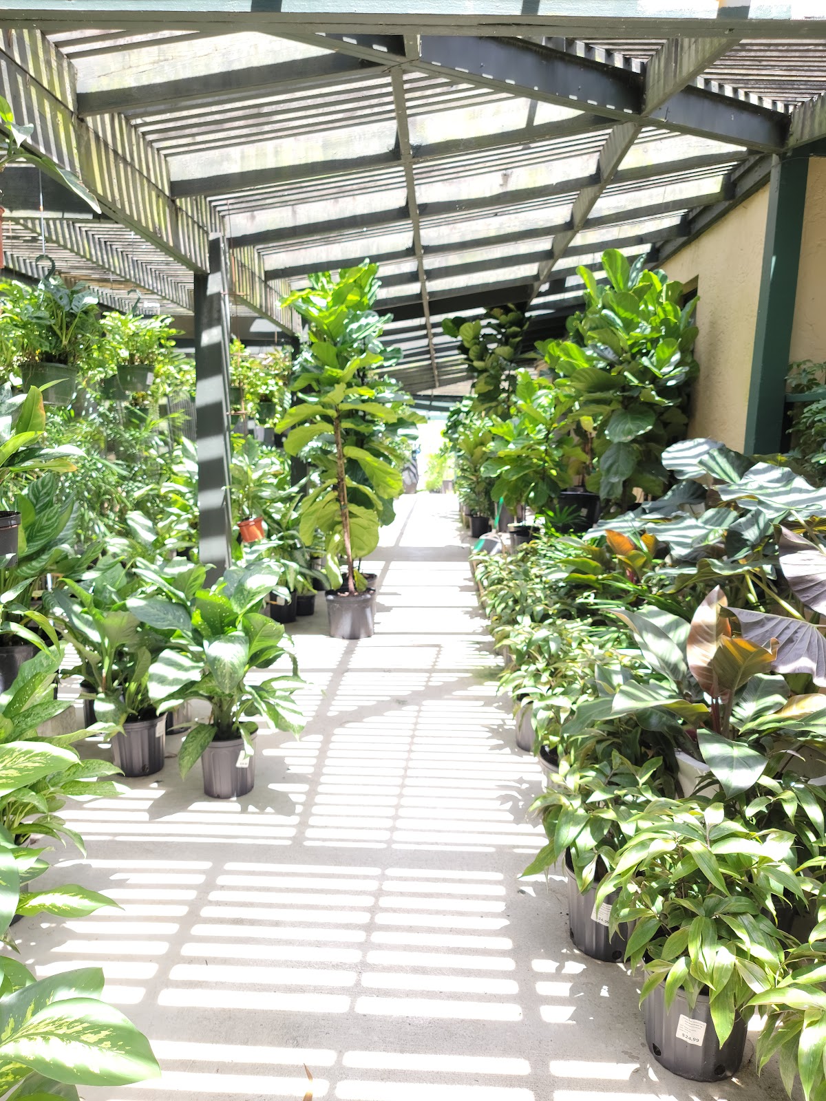 Living Color Garden Center