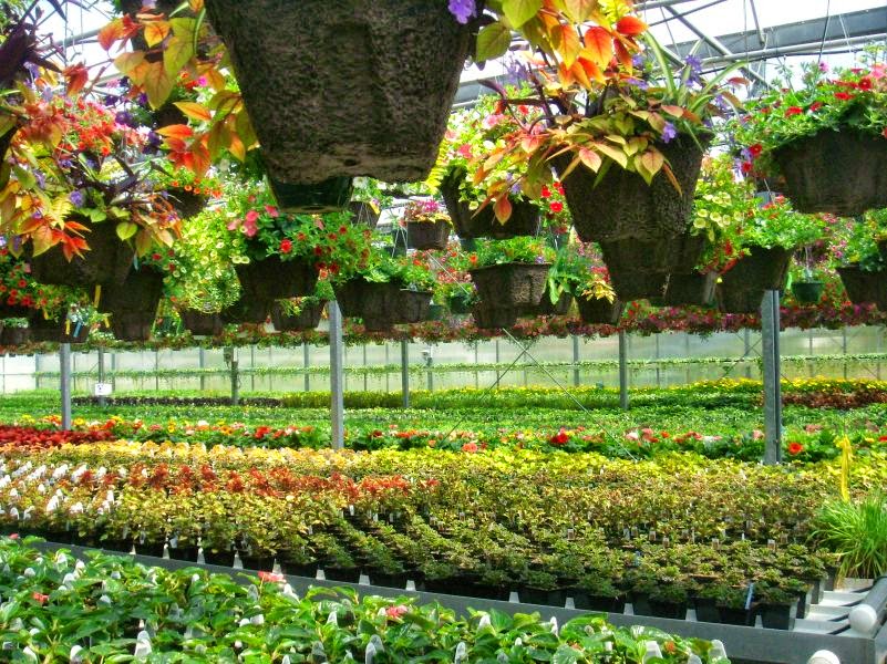 Lockwood's Greenhouses & Farm