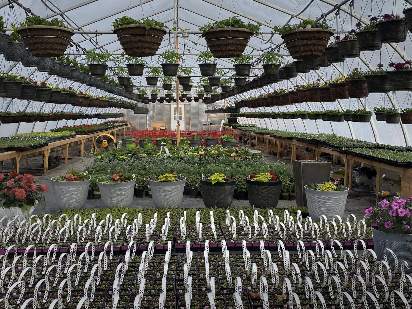 Loewen Greenhouses and Landscaping LLC