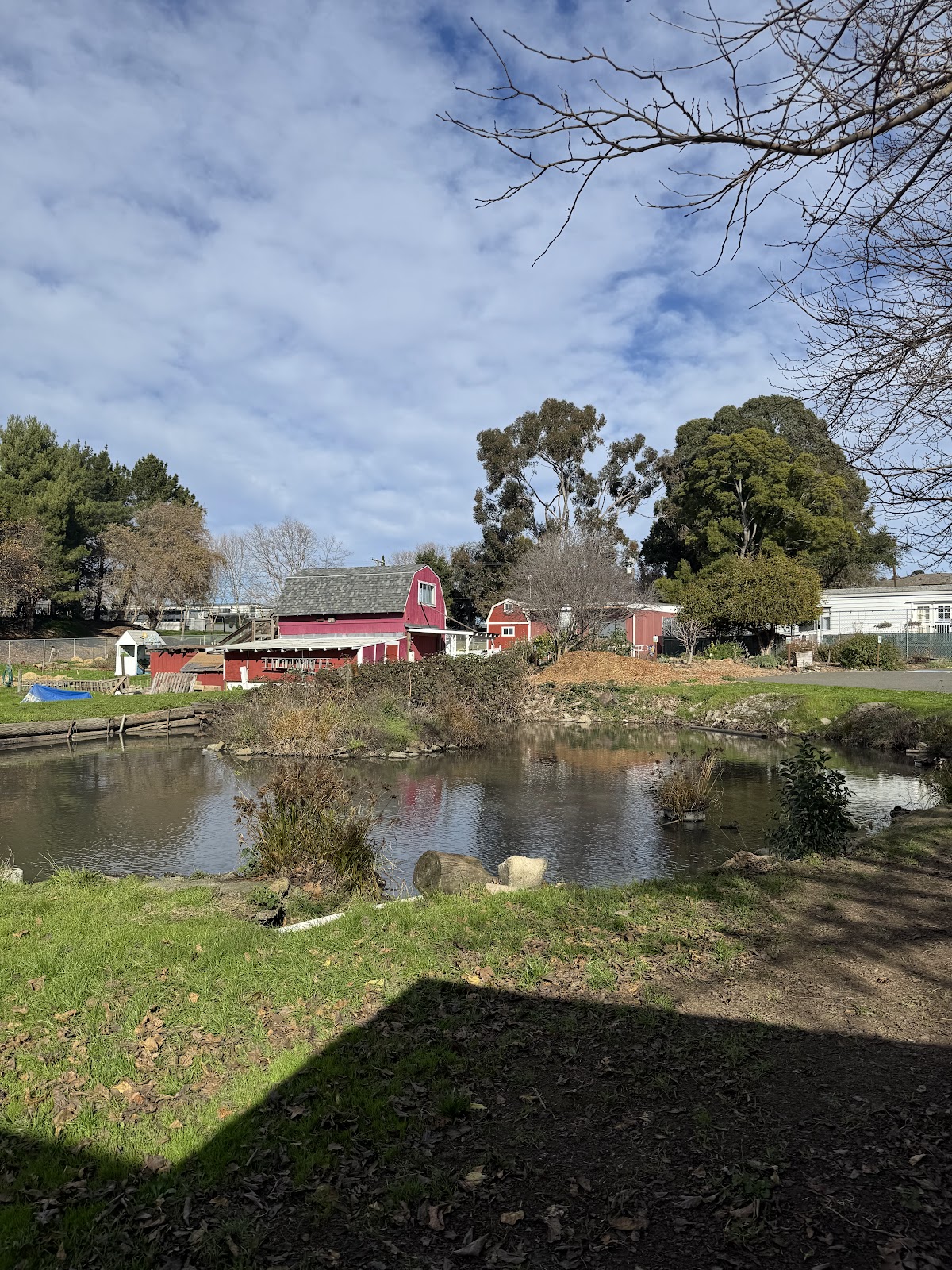 Loma Vista Farm