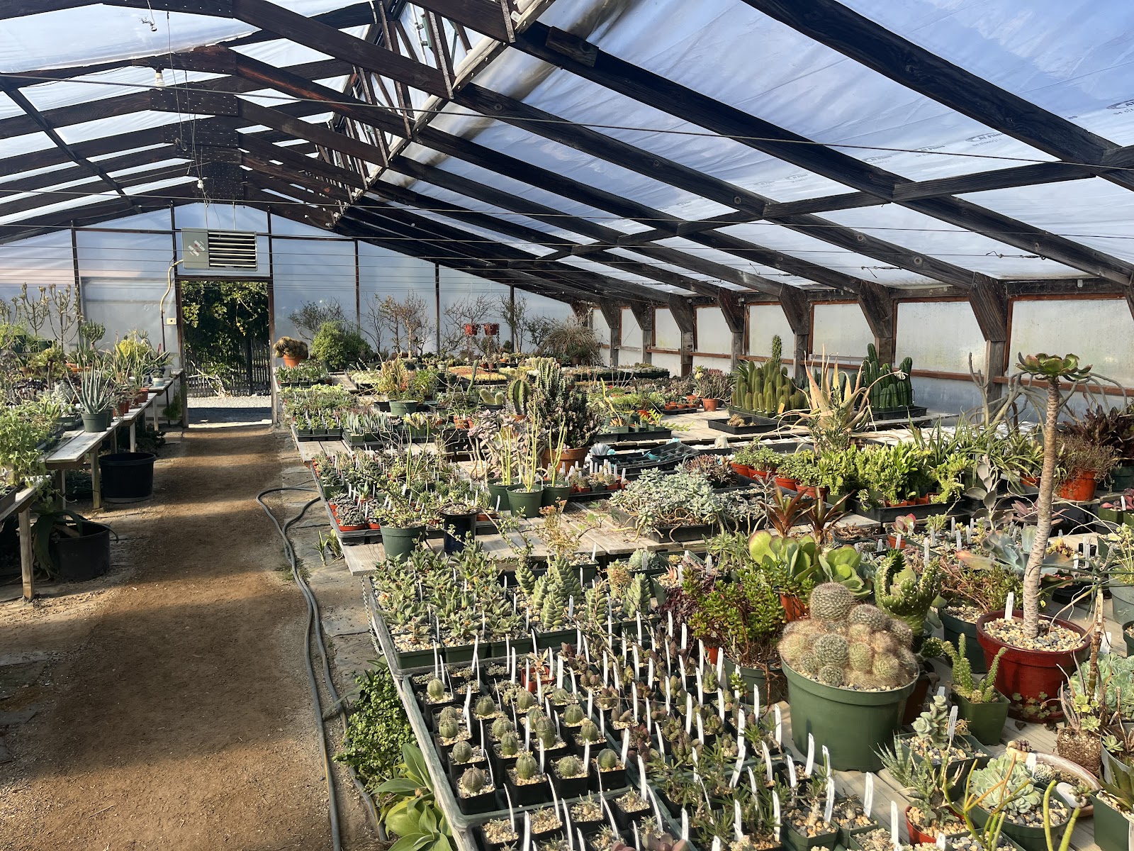 Lone Pine Gardens