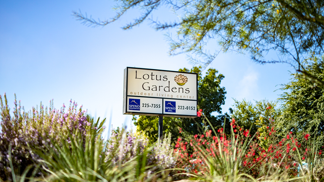 Lotus Gardens Outdoor Living Center Inc