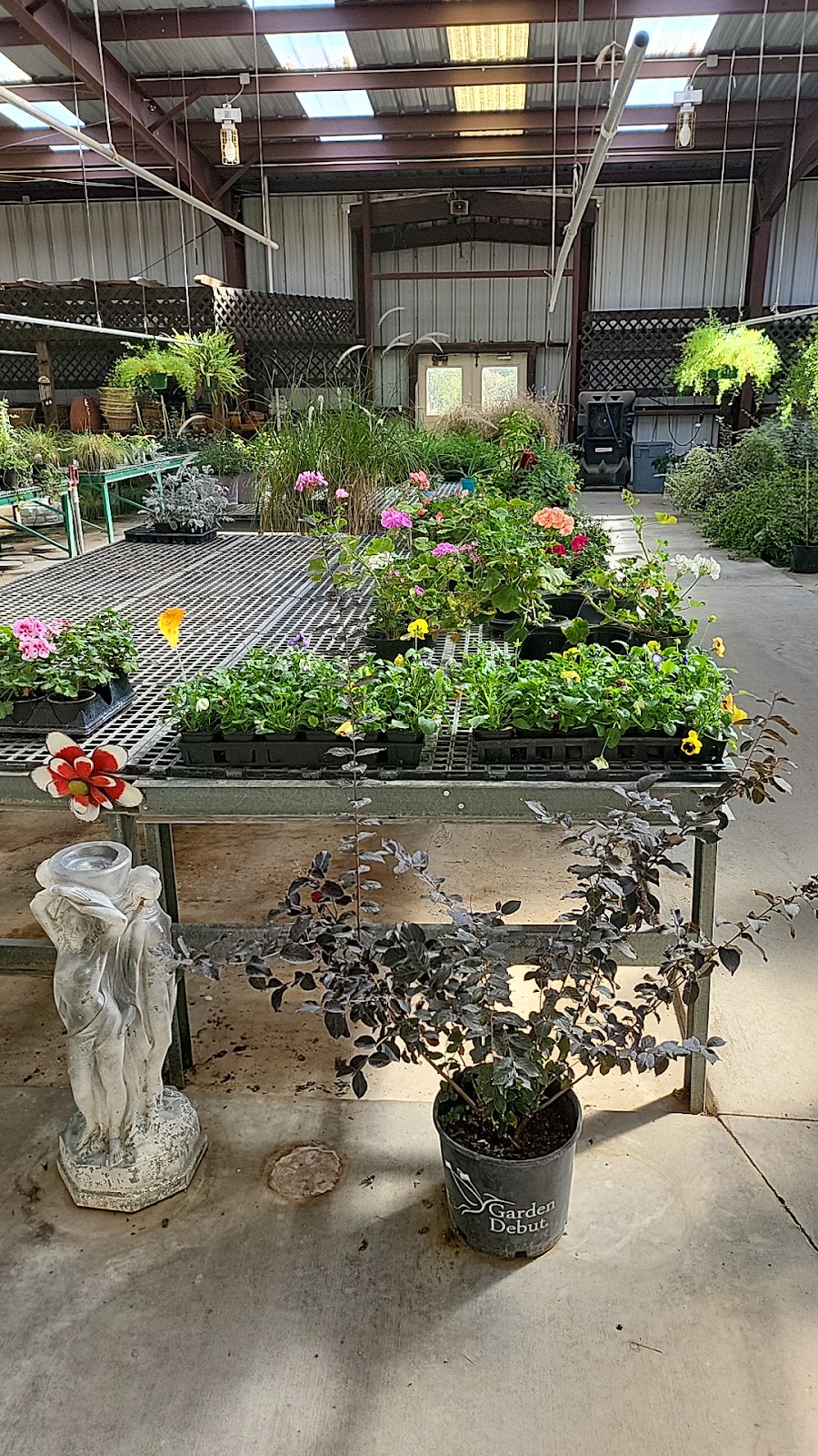 Love & Son Nursery