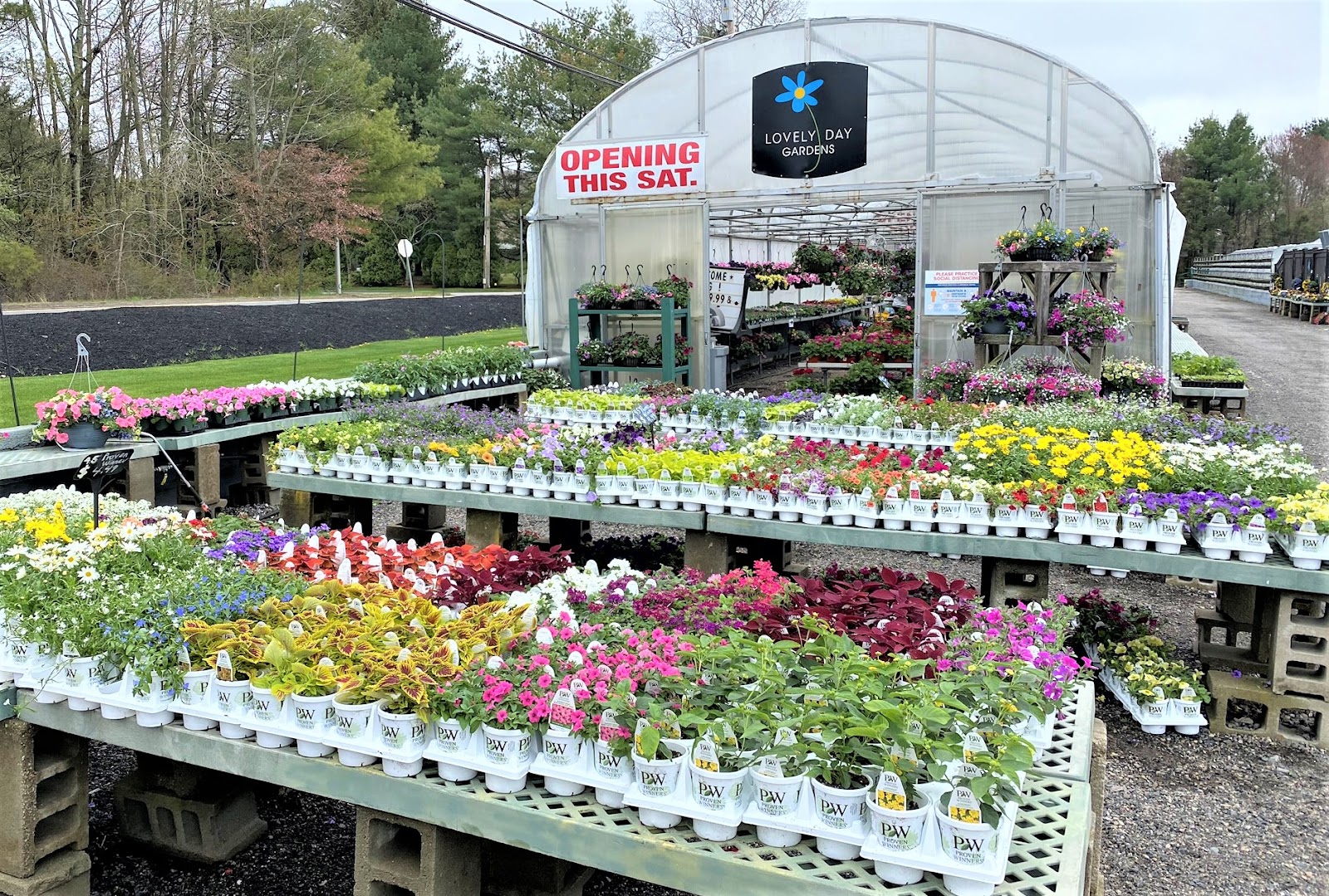 Lovely Day at Olson's Greenhouse