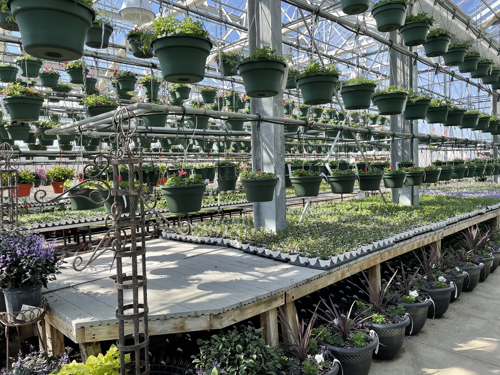 Lucas Nursery & Landscaping