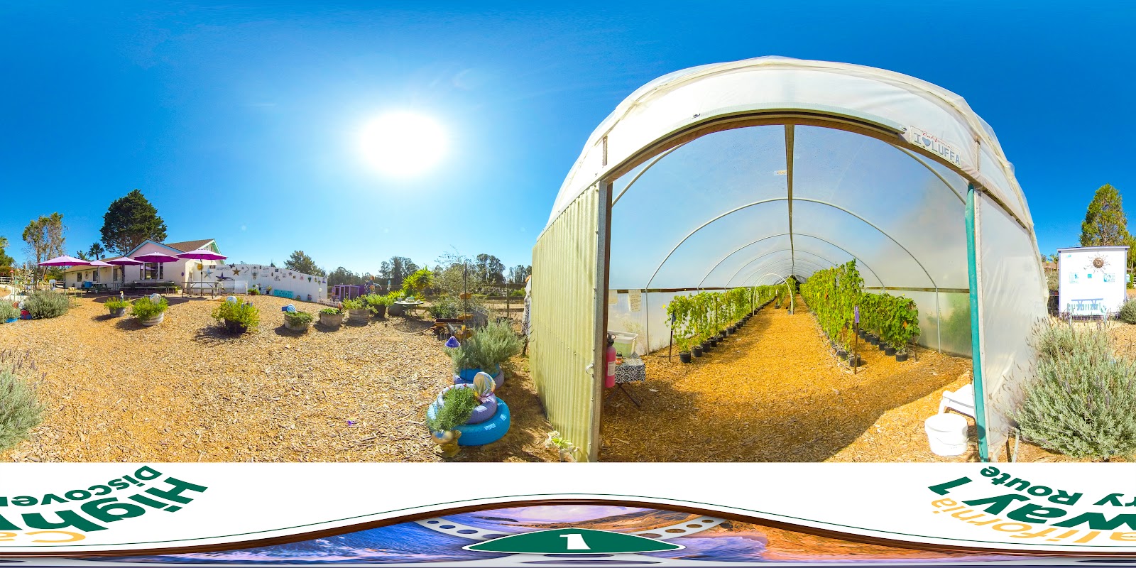 Luffa Farm