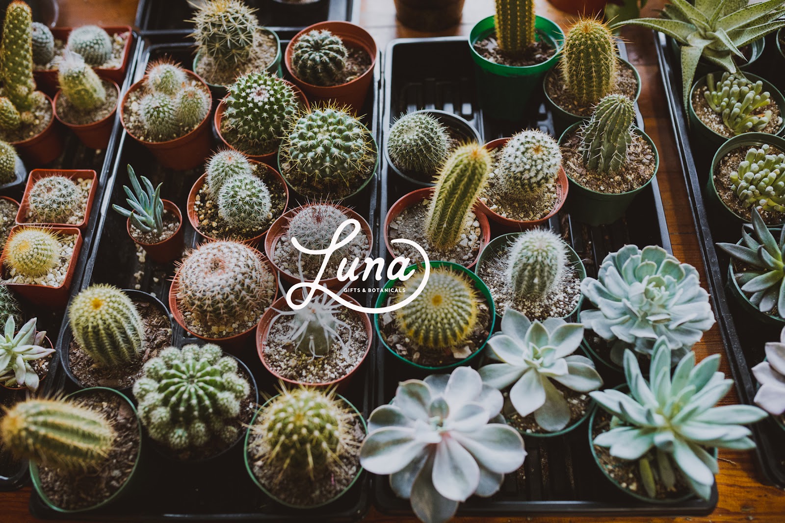 Luna Gifts & Botanicals