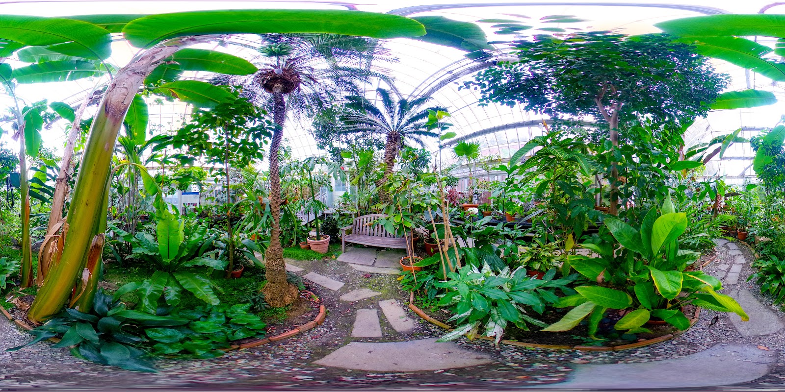 Lyman Plant House and Conservatory