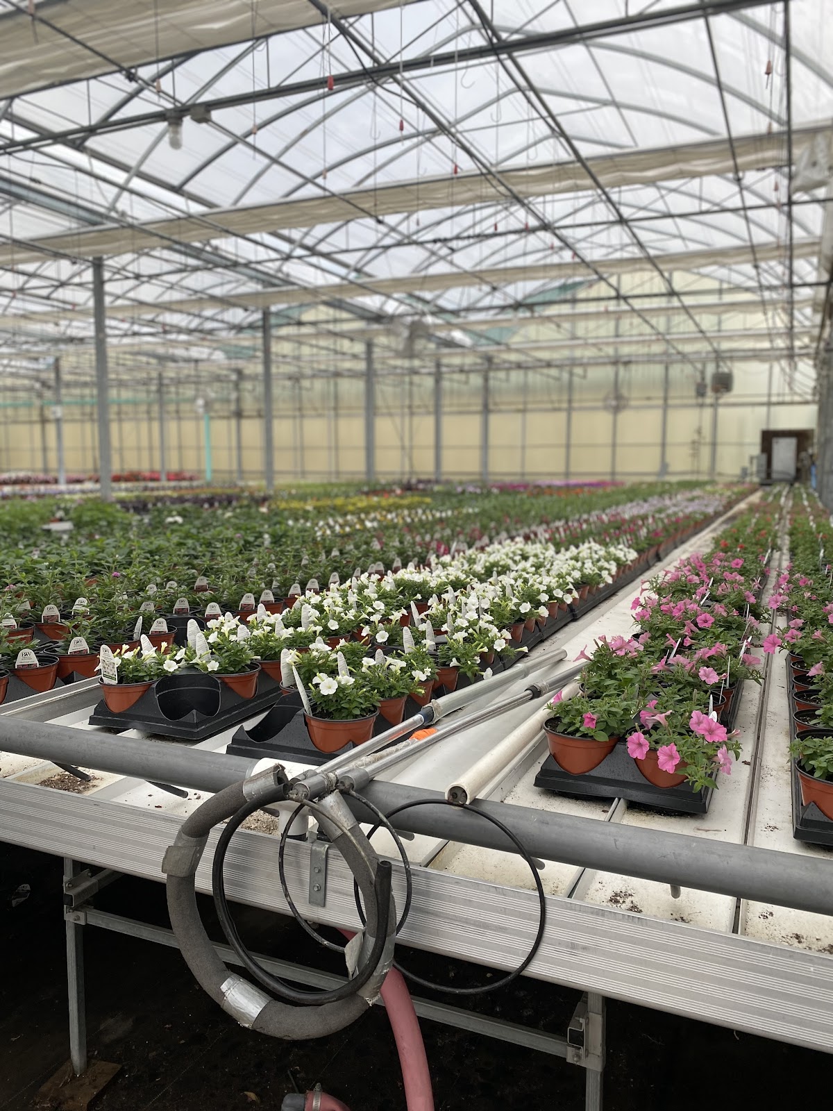 M&K Greenhouses