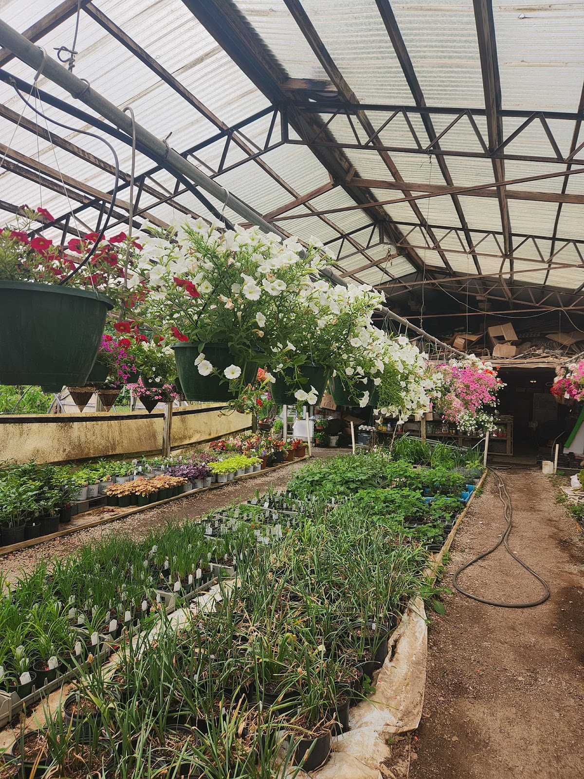 M & L Greenhouse