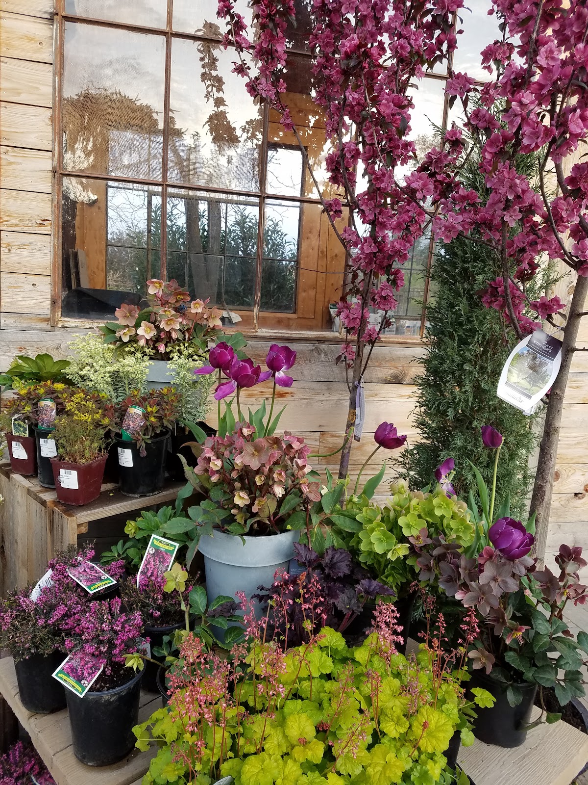 Madeline George Garden Design Nursery