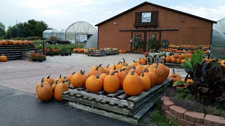 Mahar's Family Greenhouse and Nursery