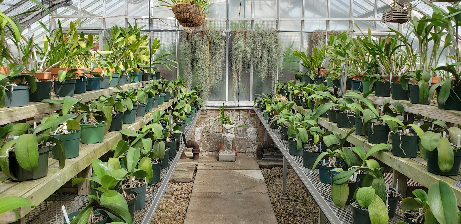 Main Greenhouse / Hibiscus House, Planting Fields Arboretum