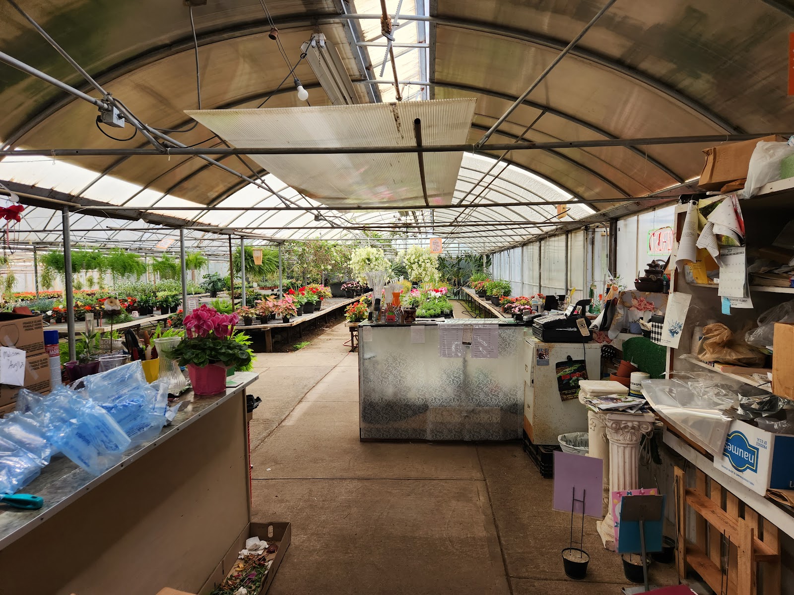 Mandel Greenhouses Florist