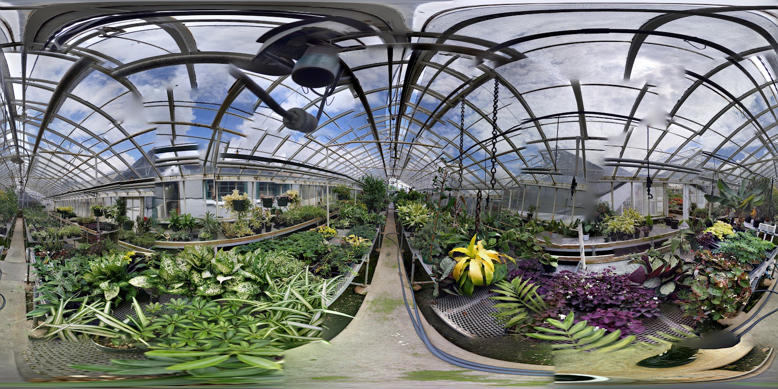 Marbott's Greenhouse & Nursery