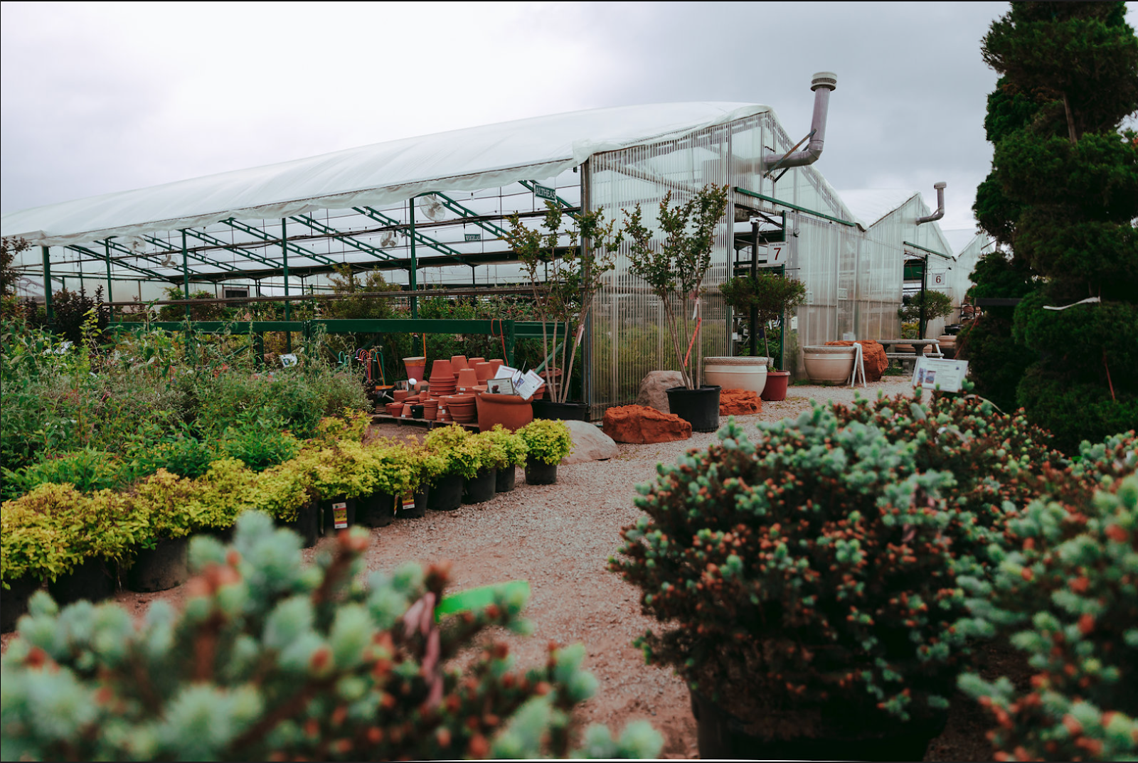 Marcum's Nursery
