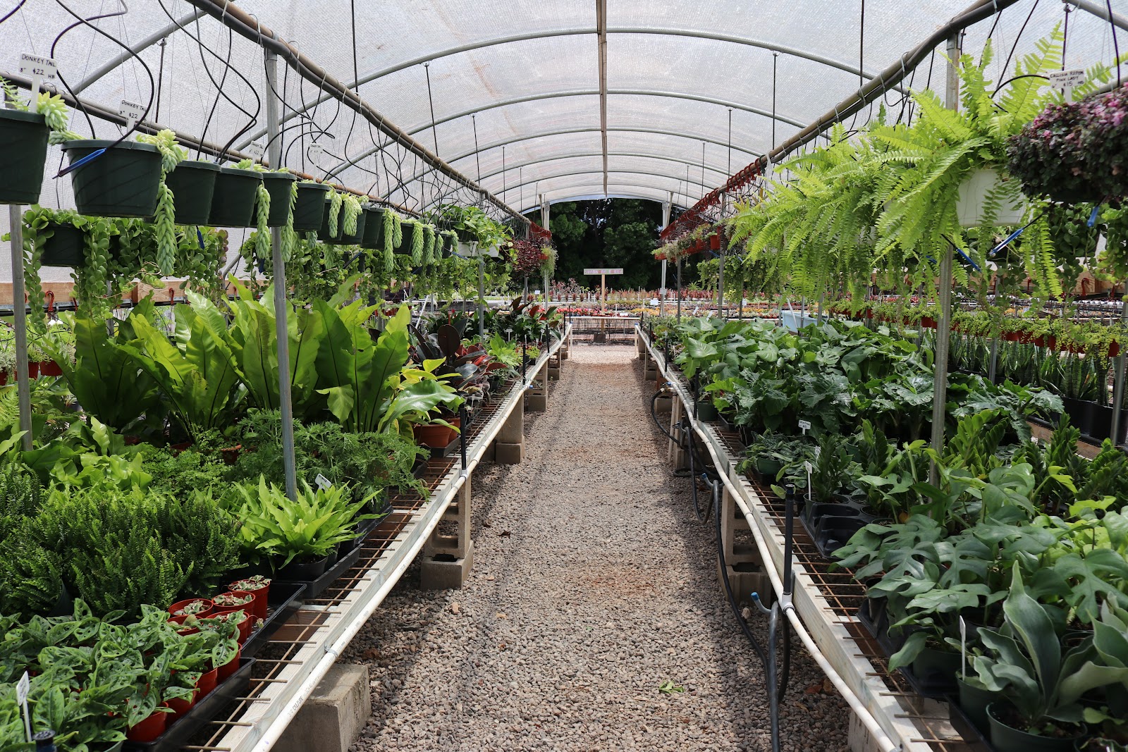Mari's Gardens