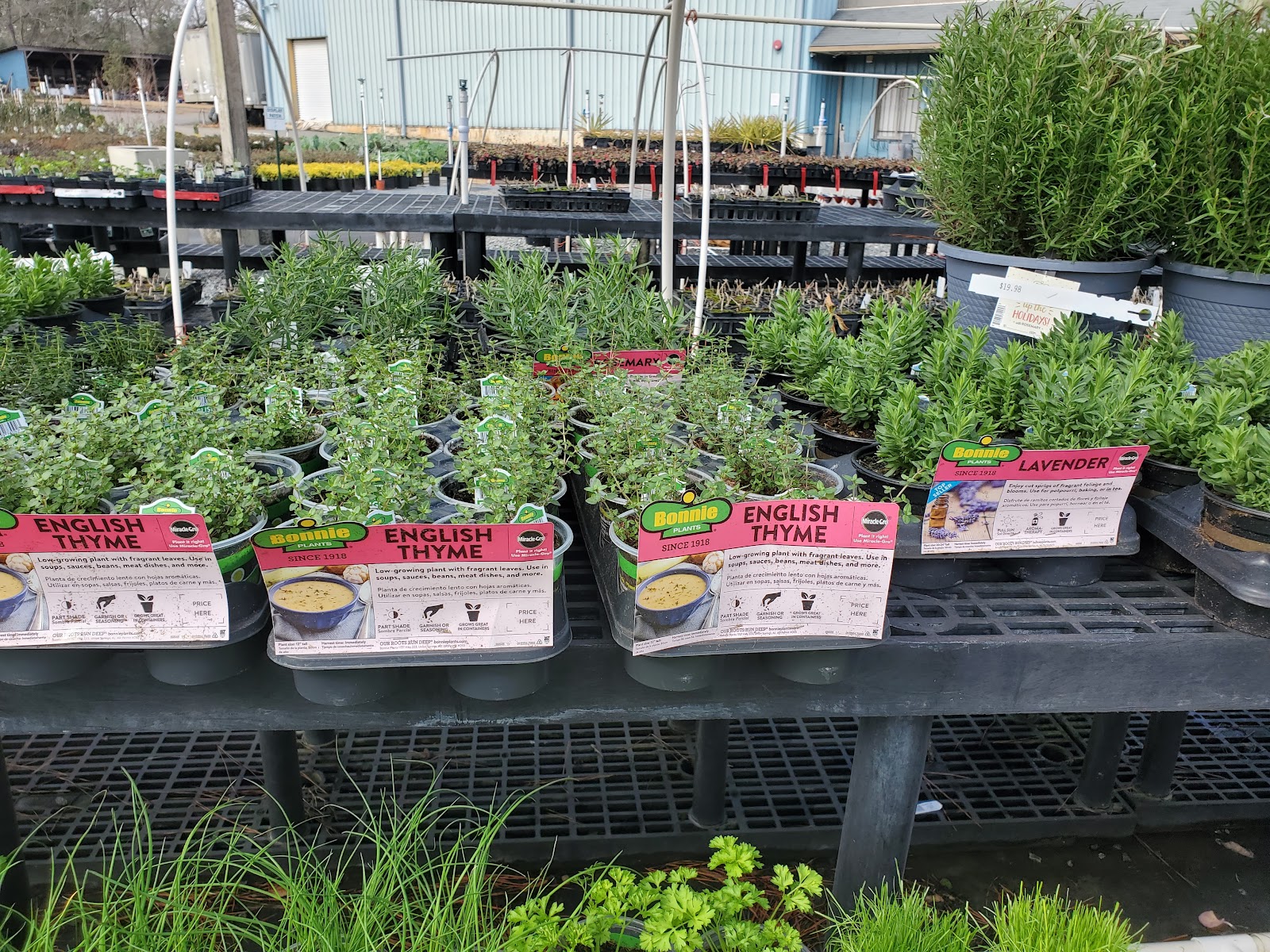 Mark’s Greenhouse