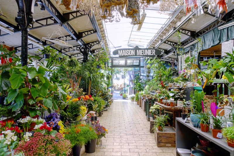 Market Blooms