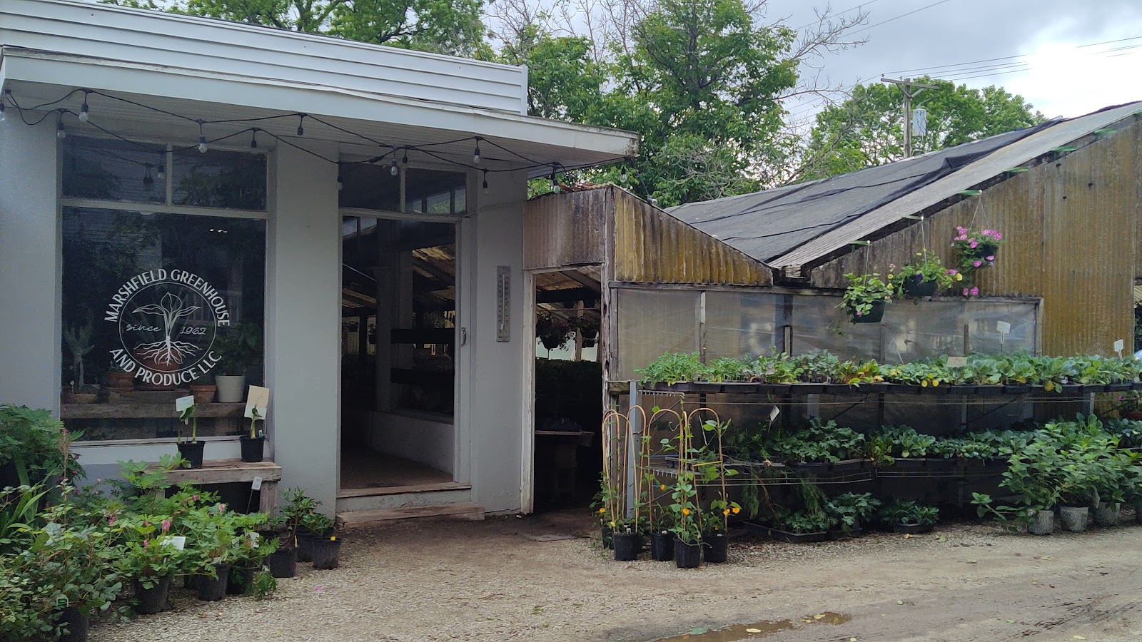 Marshfield Greenhouse