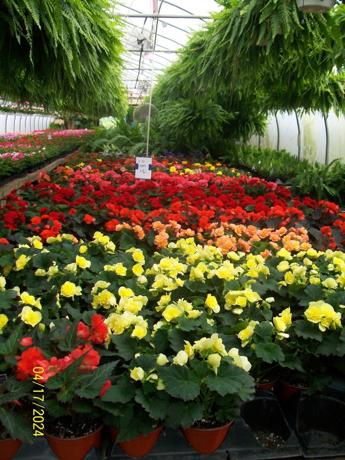 Martin Greenhouse (Open for the season)