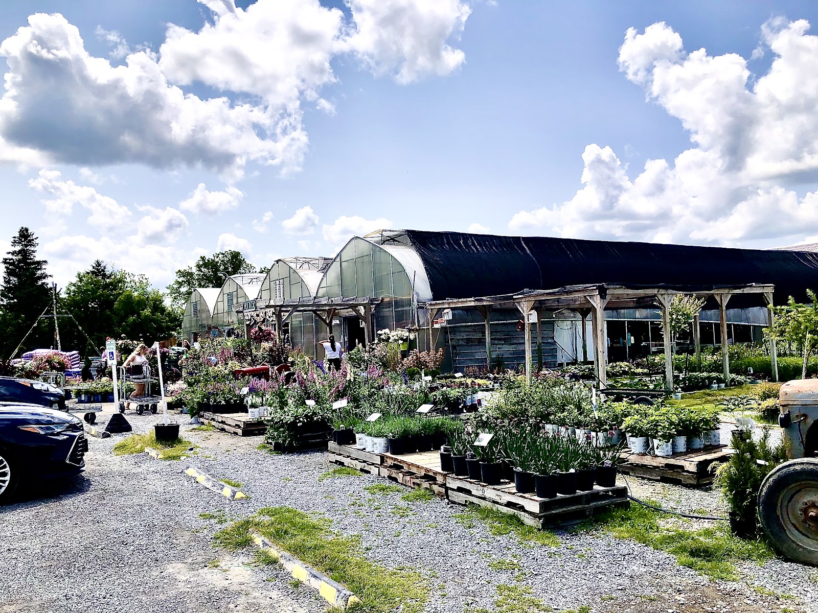 Martin's Greenhouse