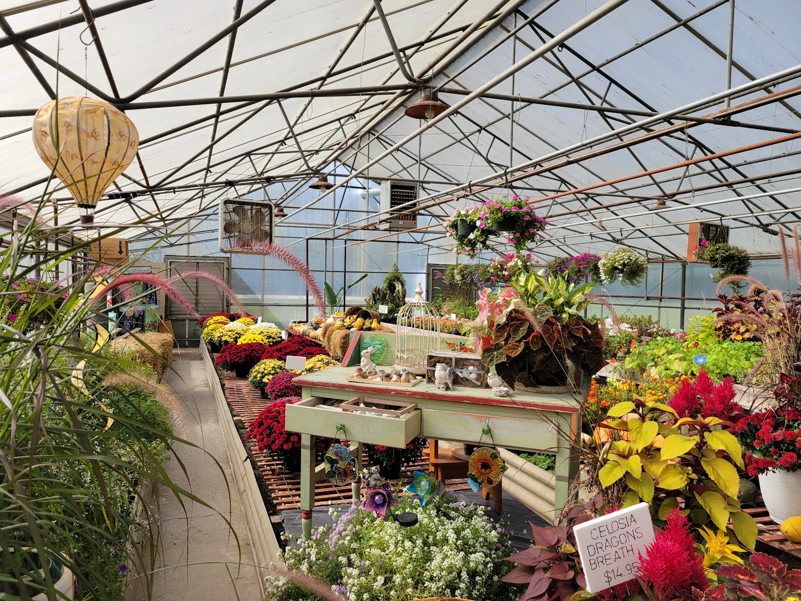 Mary's Greenhouse