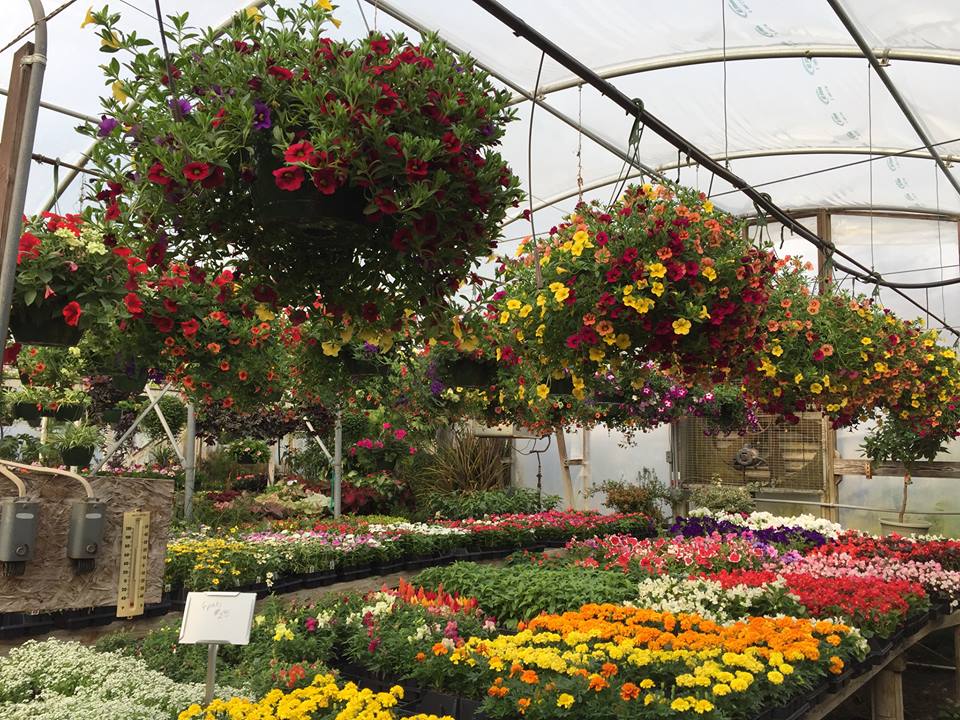 Matkins Greenhouse