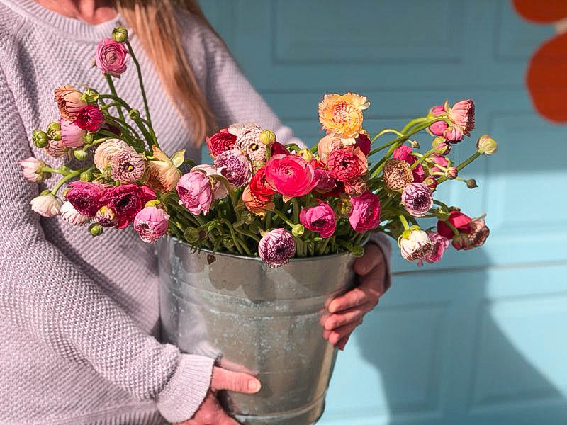 McKinney's Flowers